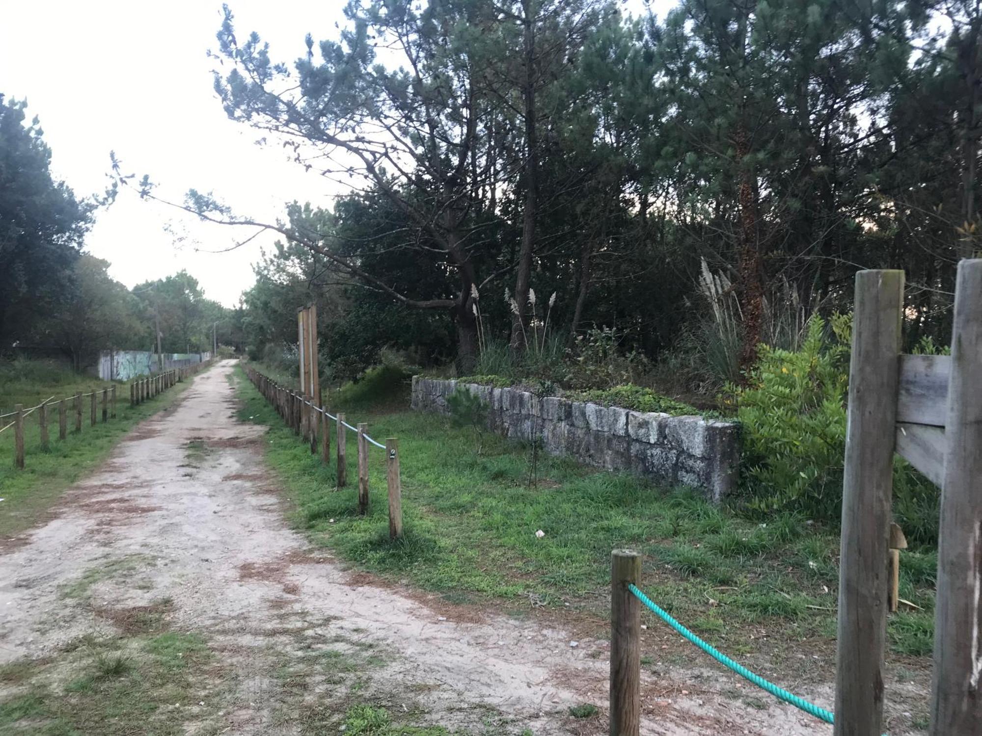 Arvore Cozy Com Jardim Luaran gambar
