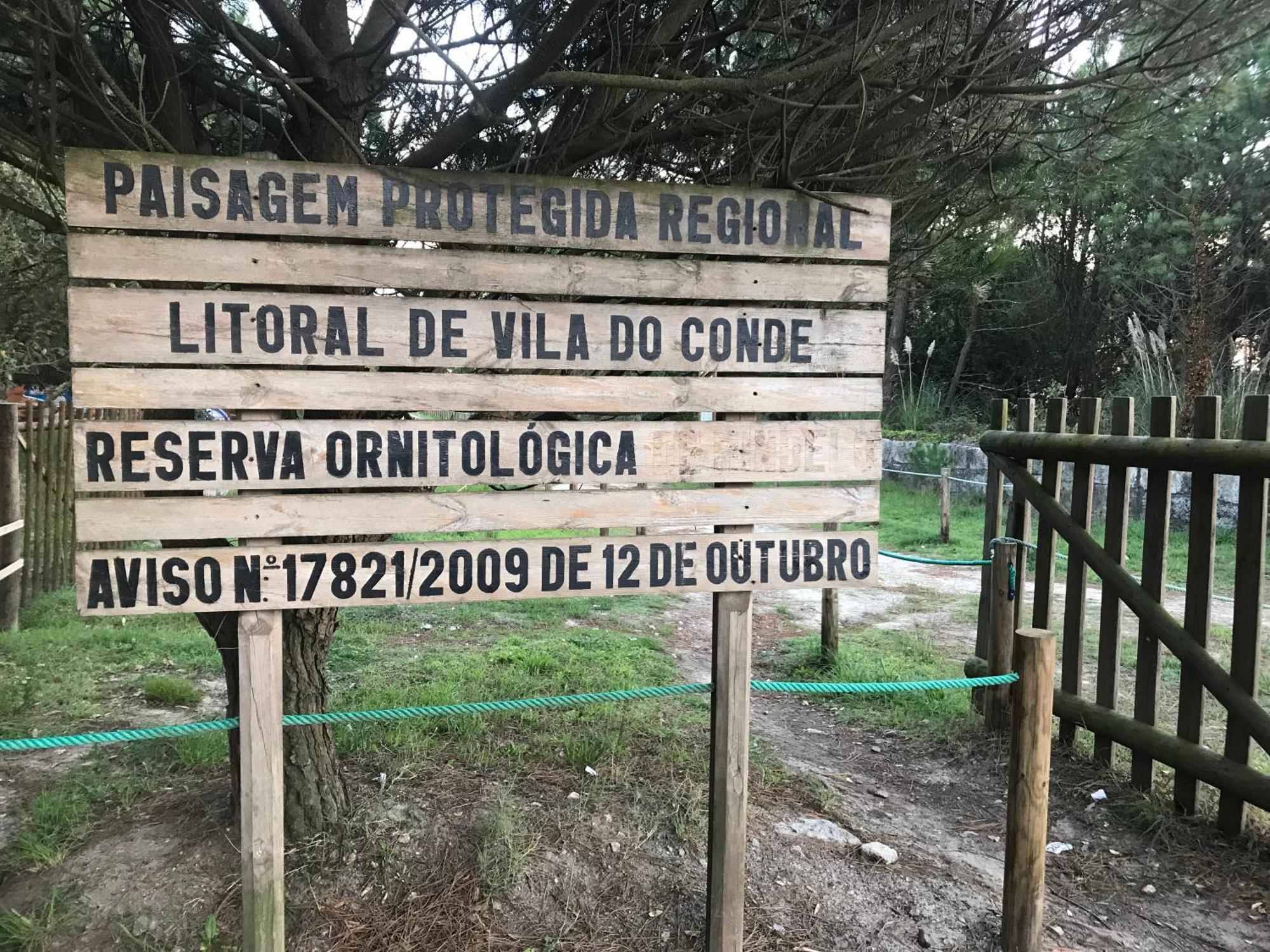 Arvore Cozy Com Jardim Luaran gambar